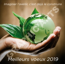 Cartes de voeux 2019 pour les entreprises et les collectivités cartes-voeux-professionnelles.jpg