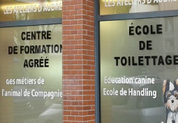Dépoli, lettres et formes autocollantes à Paris 13ème depoli-lettres-autocollantes-paris-13eme.jpg